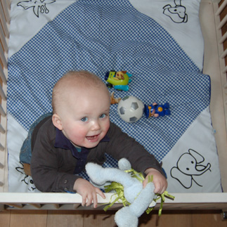 ANIMAL boxkleed (blauw ruitje)