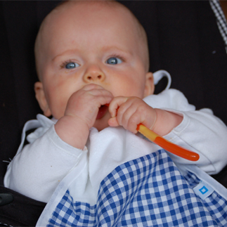 slabbertje check (blauw)