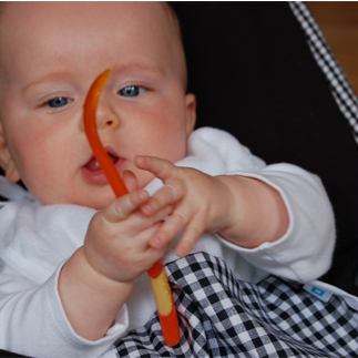 slabbertje check (zwart)