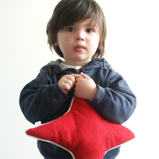 kussen ster mini (rood)